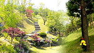 효심원 수목장