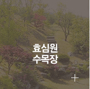효심원수목원바로가기