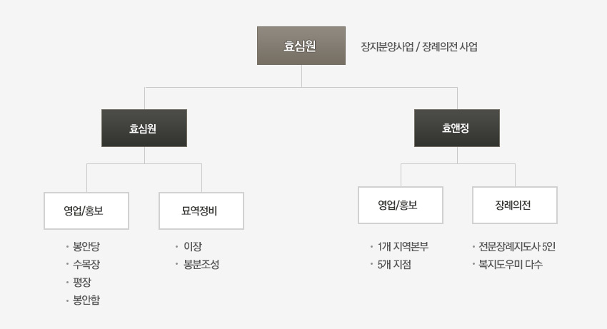 효심원(장지분양 사업과 장례의전 사업등 주력 두가지 분양)은 효심원과 효앤정으로 나뉘며 효심원은 영업/홍보, 묘역정비로 나뉩니다. 영업/홍보는 봉안당, 수목장, 평장, 봉안함으로, 모역정비는 이장, 봉분조성으로 나뉩니다.  효앤정은 영업/홍보, 장례의전으로 나뉘며, 영업/홍보는 1개지역본부과 5개 지점이 있고 장례의전은 전문장례지도사 5인과 복지도우미 다수로 나뉩니다.